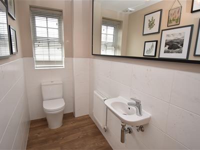 Picture 13